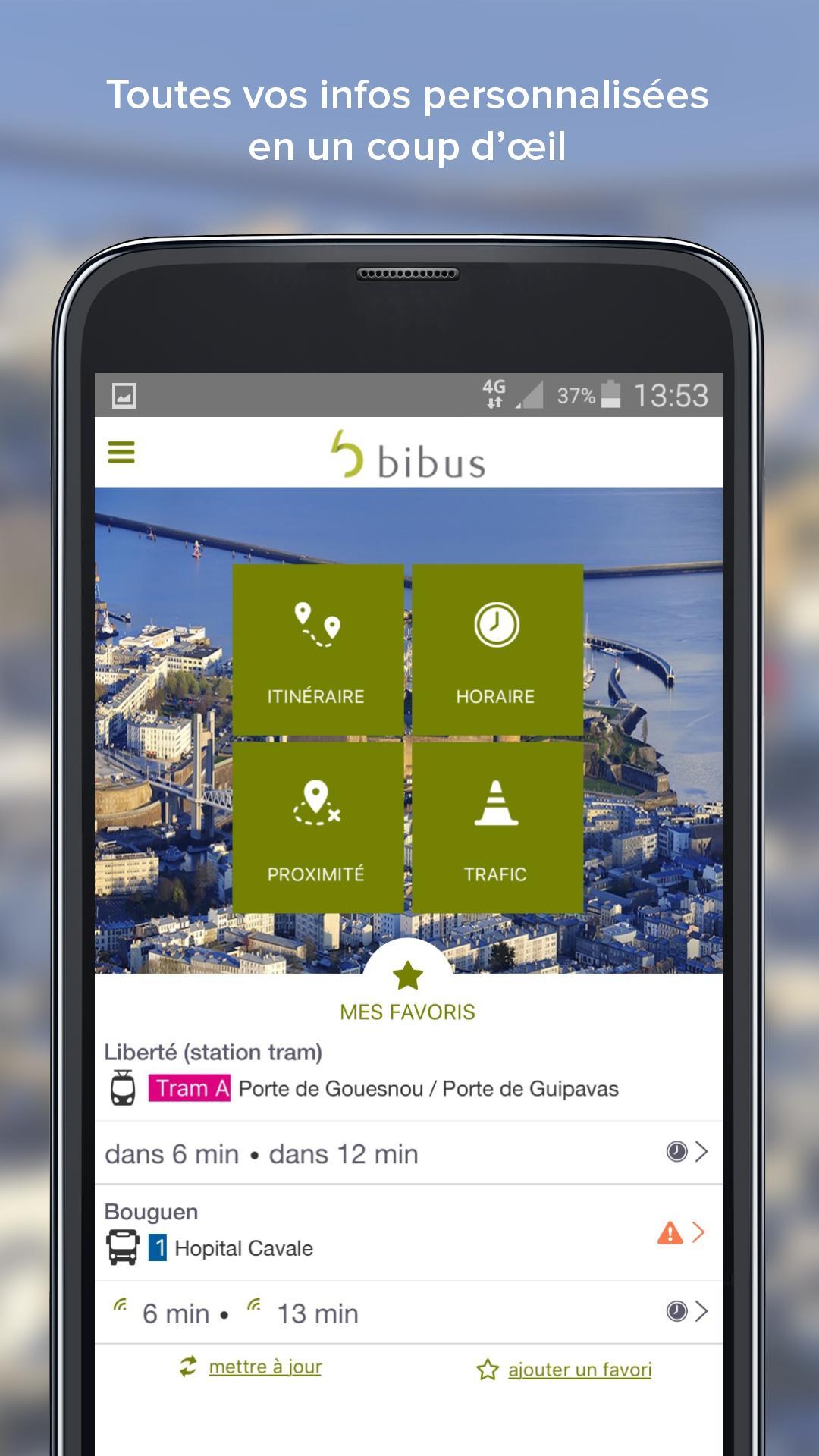 Bibus