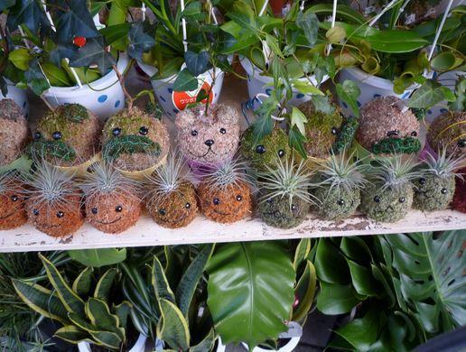 DIY gardening