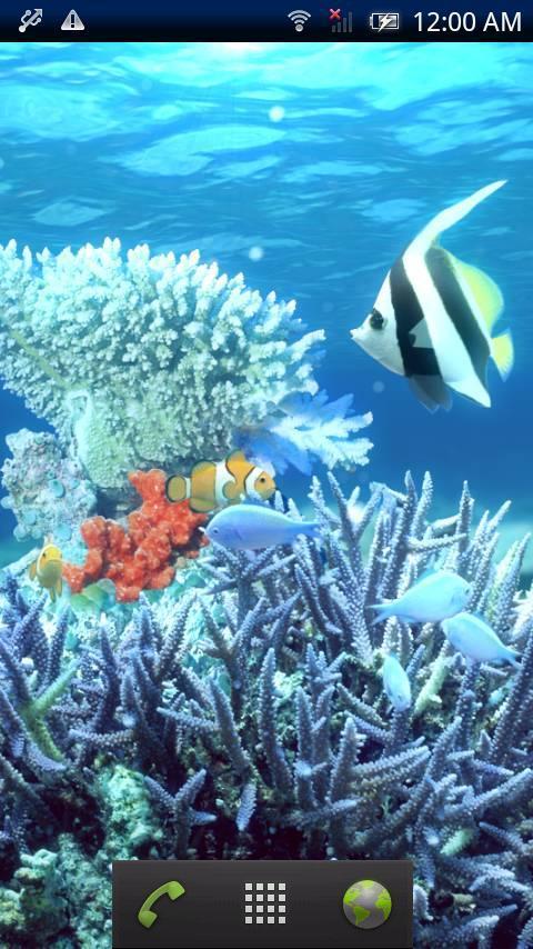 Tropical Fish Trial