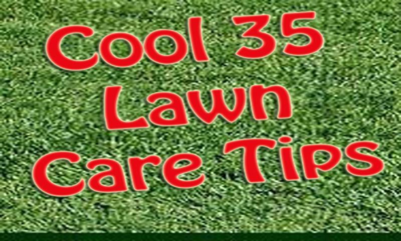 Cool 35 Lawn Care Tips