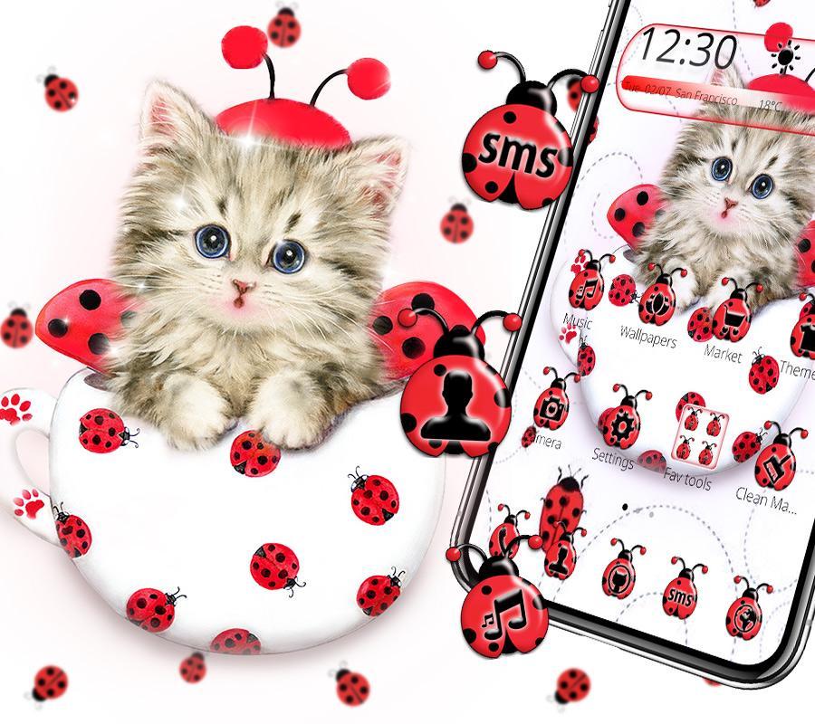 Cute Ladybird Cat Theme