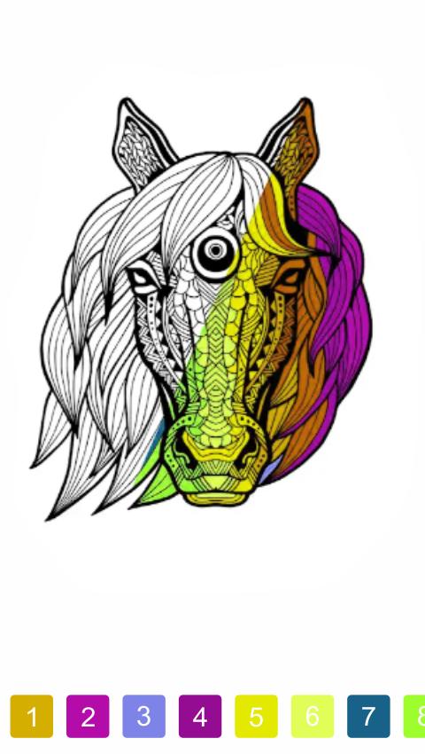 Paint by Number - Colorful Book