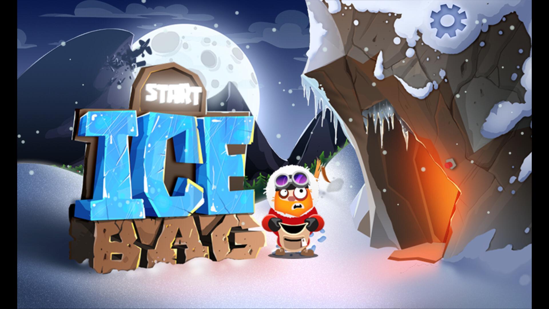 Ice Bag