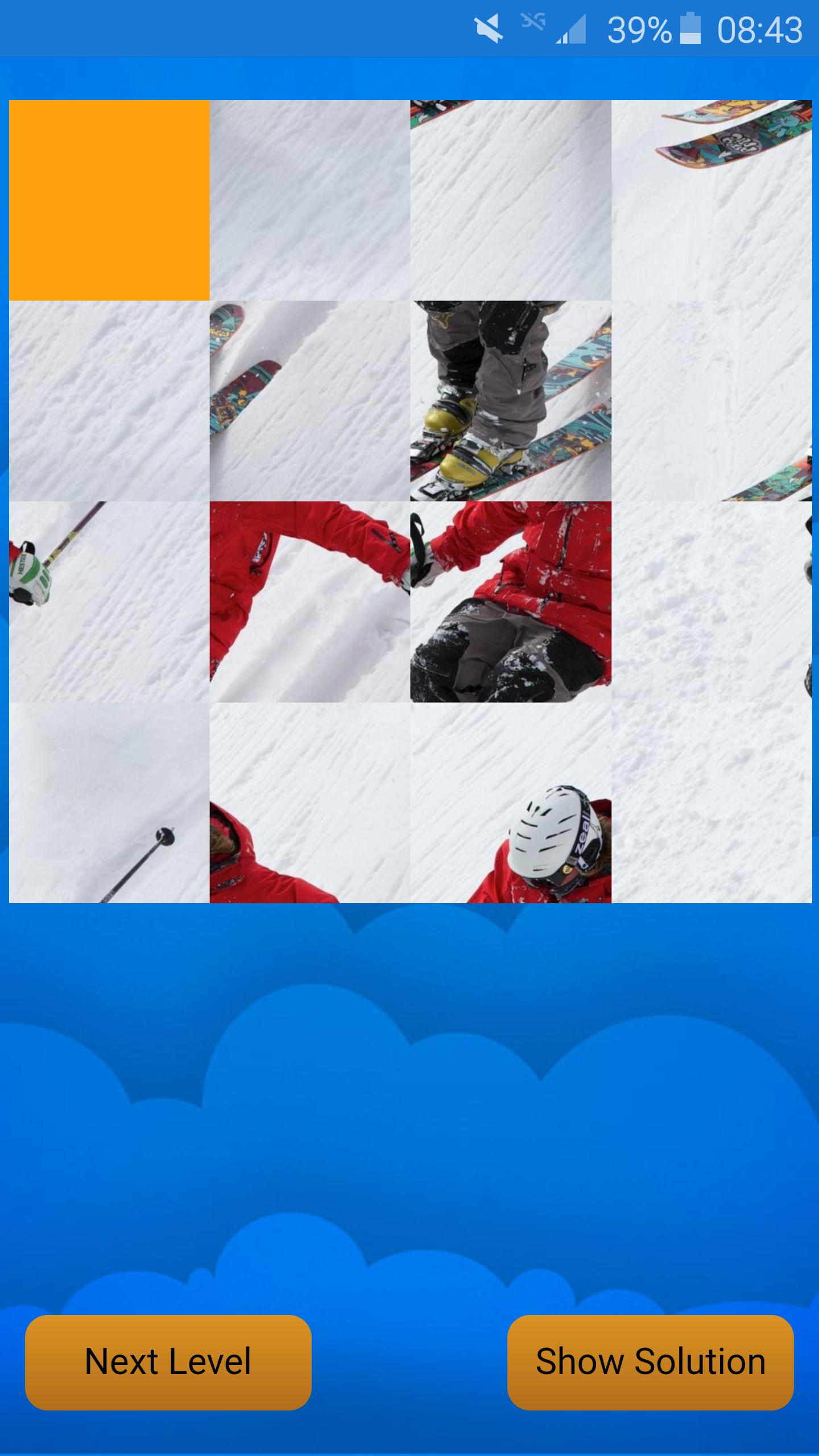 puzzle of sport