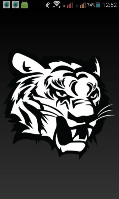 Tiger Sports Prediction