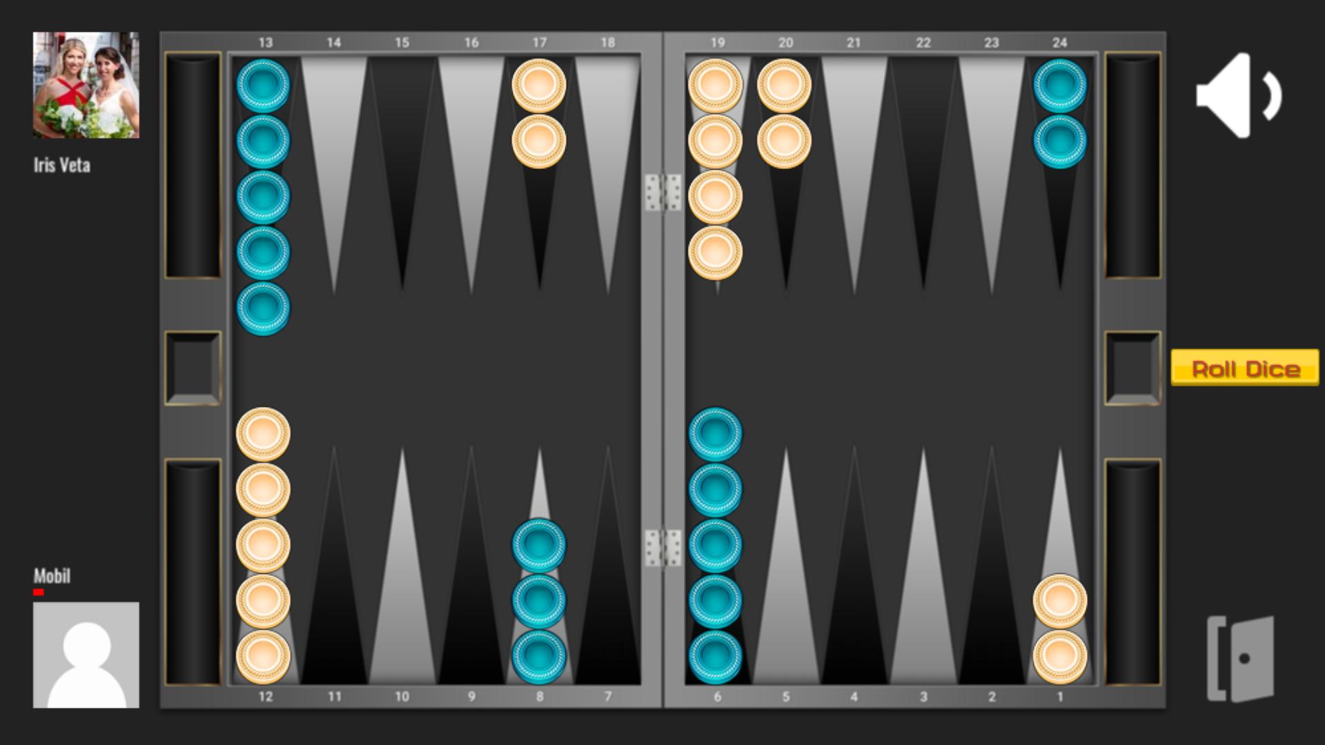 Backgammon 65